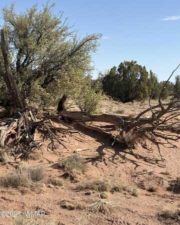 8580b Lawson Lane, Snowflake, AZ 85937