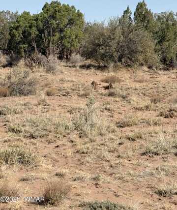 8580e Lawson Lane, Snowflake, AZ 85937