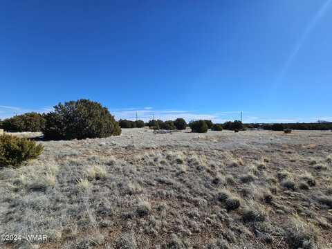 1968 Ridgeway Road, Show Low, AZ 85901