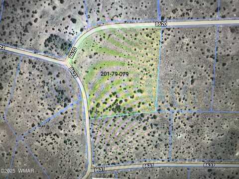 20 County Road, Concho, AZ 85924