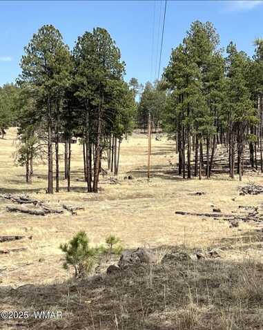 Lot E Forest Road 26, Alpine, AZ 85920