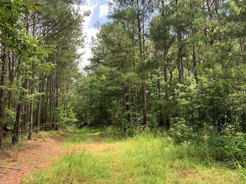 County Road 249, Woodland, AL 36280