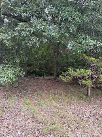 170 Railroad Street, Liberty, SC 29657