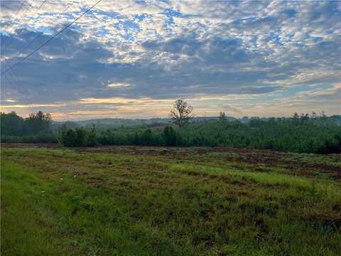 Pickens Drive lot: 10, 11, And 12, Pendleton, SC 29670