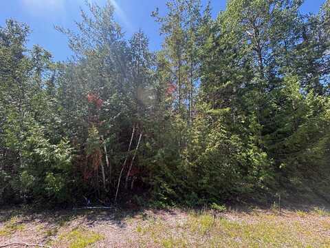 NHN Northland Heights Drive, Presque Isle, MI 49777