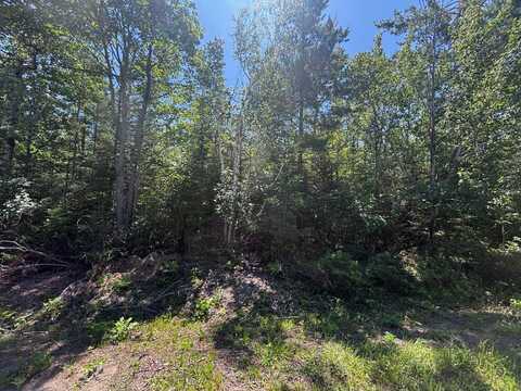 NHN Pineview Drive, Presque Isle, MI 49777