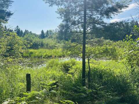 Ausable River Trail lot: 39, Roscommon, MI 48653