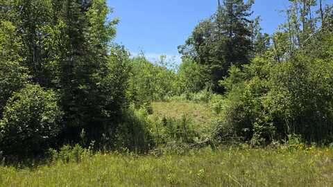 3 acres US 23 N, Ocqueoc, MI 49759