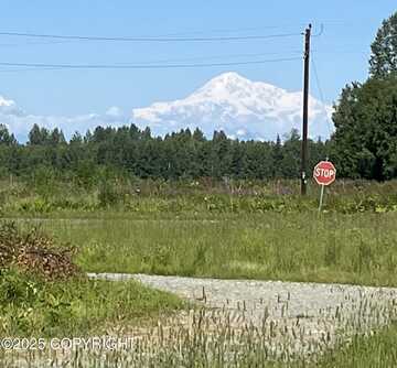24871 S Wagner Road, Trapper Creek, AK 99683