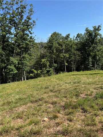 0 TBD Beaver Hollow RD, Garfield, AR 72732