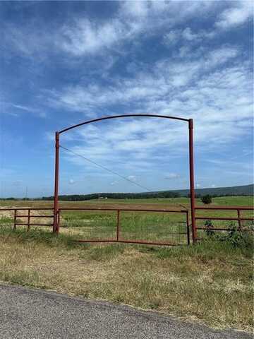 Pine, Hector, AR 72843