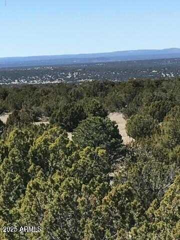 Lot 20 Idlewild Ranch, Concho, AZ 85924