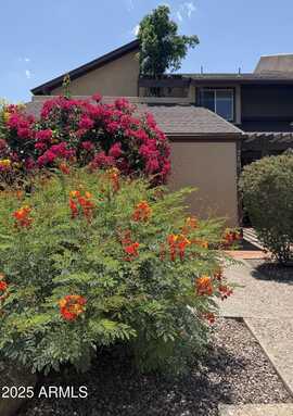 719 E ORANGEWOOD Avenue, Phoenix, AZ 85020
