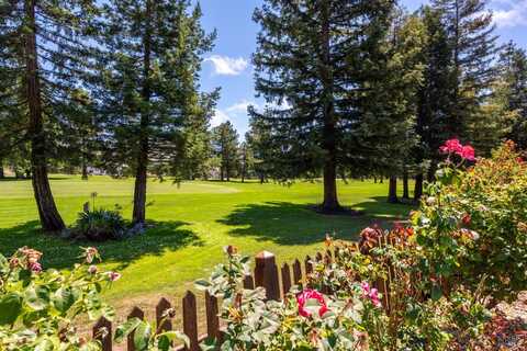 239 Fauna Avenue, Rohnert Park, CA 94928
