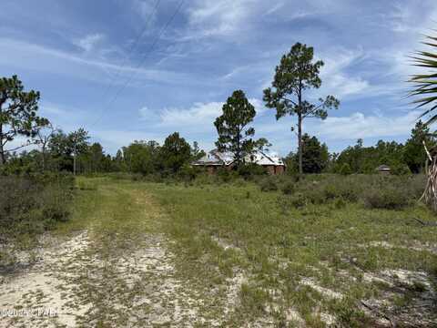 19660 NW Alice Vreeland Road, Altha, FL 32421