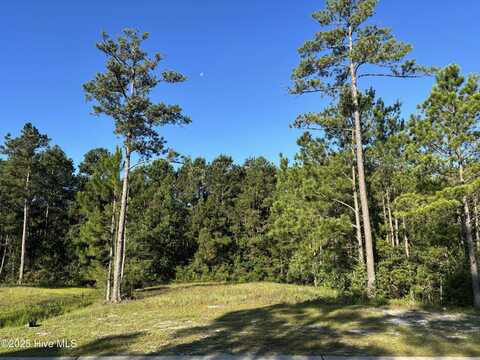 957 Ashburton Road SE, Bolivia, NC 28422