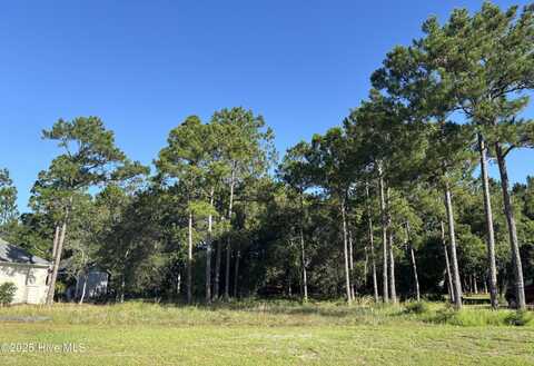 463 Arlington Drive SE, Bolivia, NC 28422