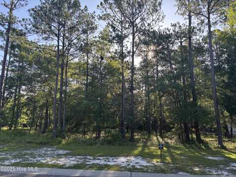 990 Ashburton Road SE, Bolivia, NC 28422