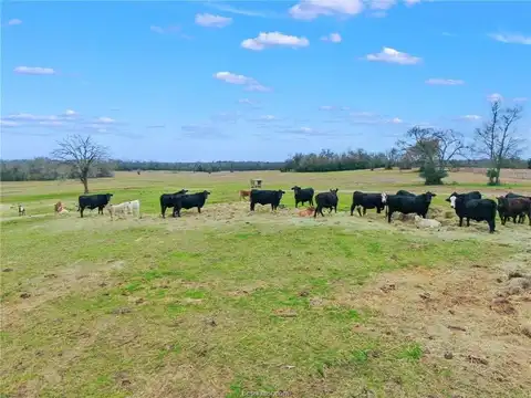 Tbd Pleasant Grove Road, Iola, TX 77861
