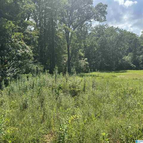 720 HIGHWAY 47, COLUMBIANA, AL 35051