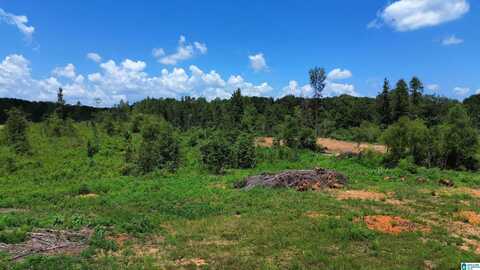 0 GENERAL JACKSON MEMORIAL DRIVE, SYLACAUGA, AL 35151