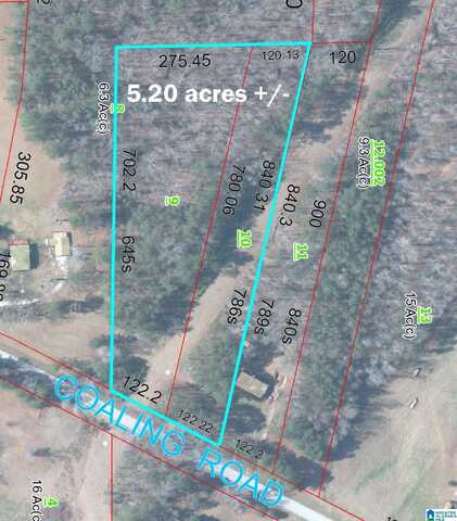 0 COALING ROAD, SYLACAUGA, AL 35151