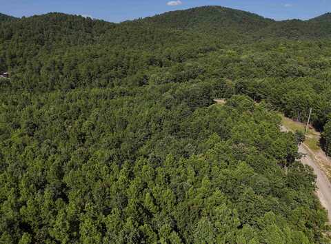 Lot 12 Polk Road 78, Mena, AR 71953