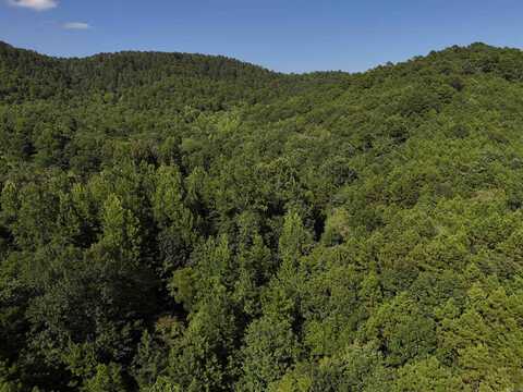 Lot 17 Polk Road 78, Mena, AR 71953