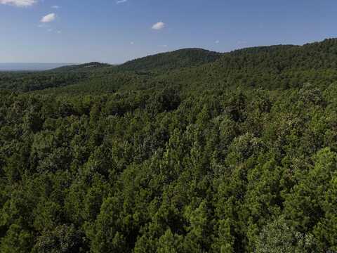 Lot 8 Polk Road 78, Mena, AR 71953