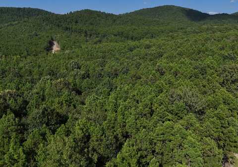 Lot 10 Polk Road 78, Mena, AR 71953