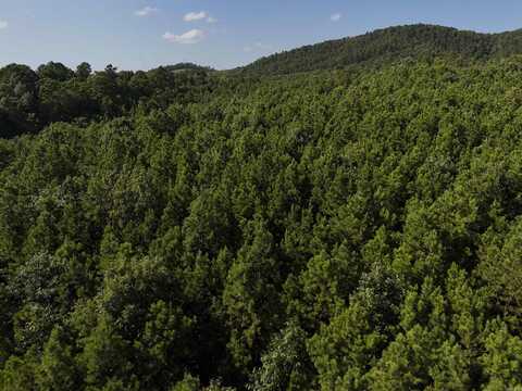 Lot 14 Polk Road 78, Mena, AR 71953