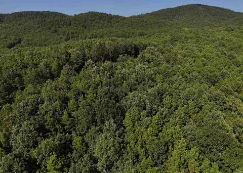Lot 6 Polk Road 78, Mena, AR 71953