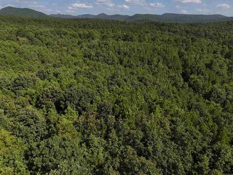 Lot 7 Polk Road 78, Mena, AR 71953