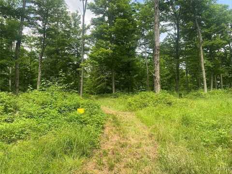 Fulmer Valley Road, Wellsville, NY 14895