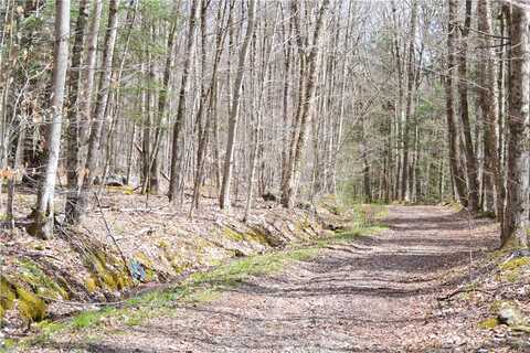 undefined, Andes, NY 13731