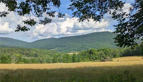 659 West Highland Rd - Parcel 1 Road, Stamford, NY 13788