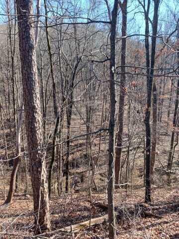 311 Roberts Mill Road, Hixson, TN 37343