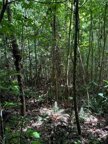 5.2ac Dutton Road, Gloucester, VA 23061