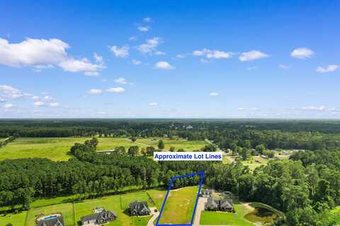 TBD Farm Trac Dr., Galivants Ferry, SC 29544