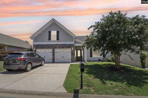 510 Verona Way, Chapin, SC 29036
