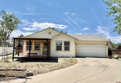 971 Yorkshire Court, Delta, CO 81416