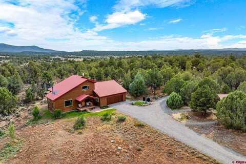 11617 County Road 310, Ignacio, CO 81137