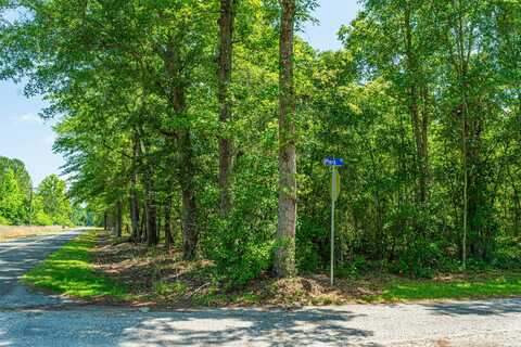 1 Mcalhany Road, Branchville, SC 29432