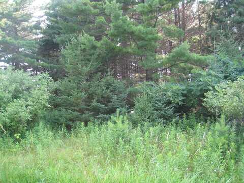 Lot 4 Hainesville Rd, Sturgeon Bay, WI 54235