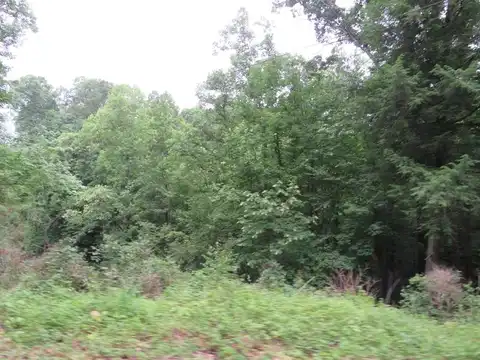 00 Laurel Flats, Flatgap, KY 41219