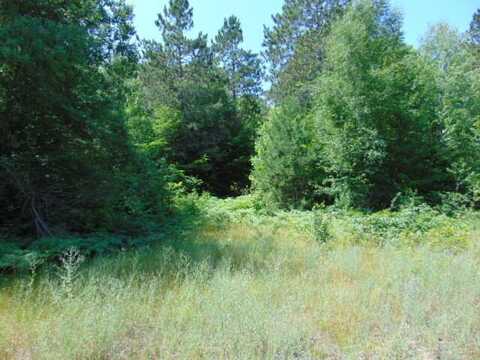Winding Woods Run, Newberry, MI 49868
