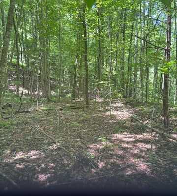 Macs Mountain Retreat Lane, Franklin, NC 28734