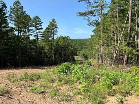 0089 Tract 8 & 9 Goats Bluff, Wister, OK 74966