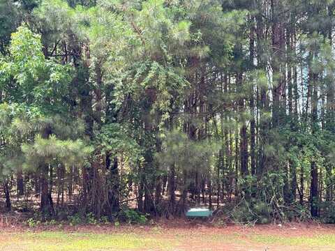 4309 Giverney Boulevard, Fairburn, GA 30213