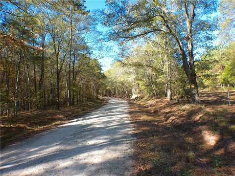 0 Dusty Road, Bowman, GA 30624
